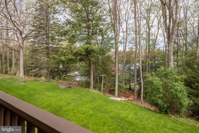 a view of a yard with large trees
