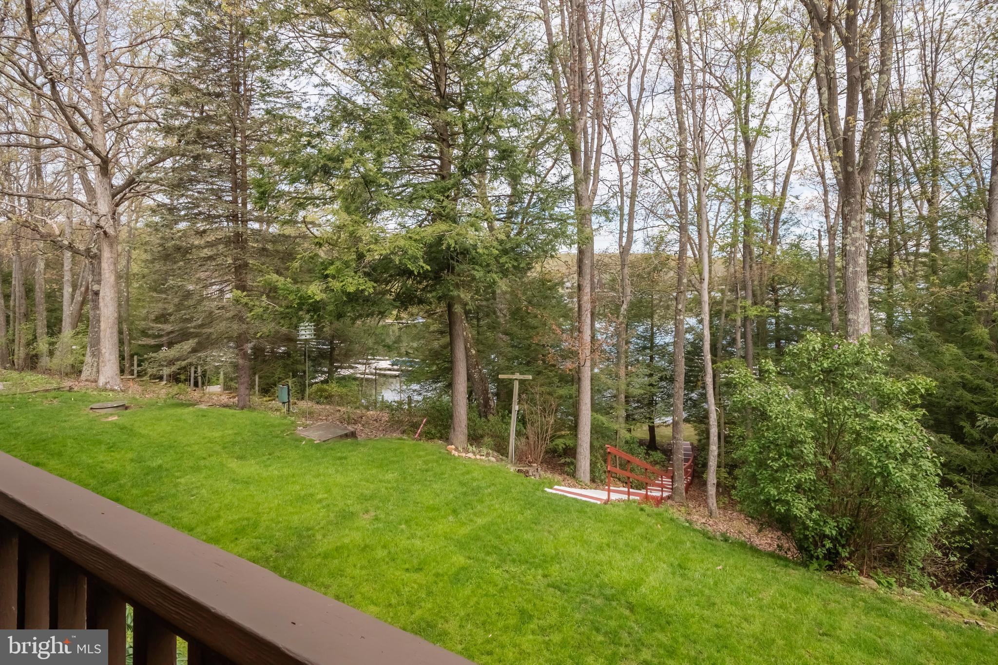 189 Red Run Road, Unit 1C2 Oakland, MD 21550 - Photo 28 of 50 a view of a yard with large trees