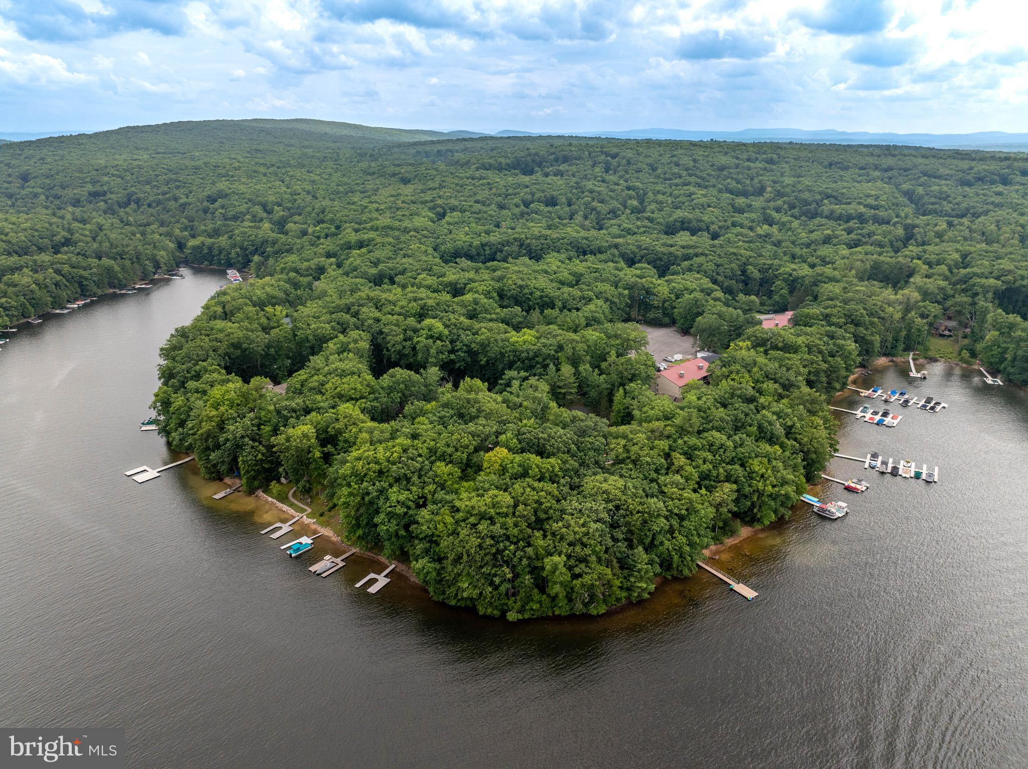 189 Red Run Road, Unit 1C2 Oakland, MD 21550 - Photo 43 of 50 an aerial view of a houses with outdoor space and street view