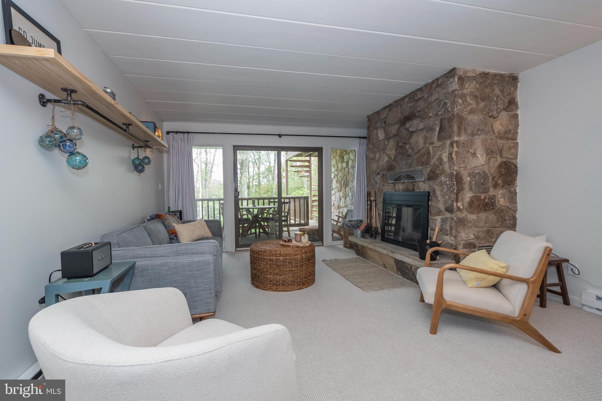 189 Red Run Road, Unit 1C2 Oakland, MD 21550 - Photo 10 of 50 a living room with furniture and a fireplace
