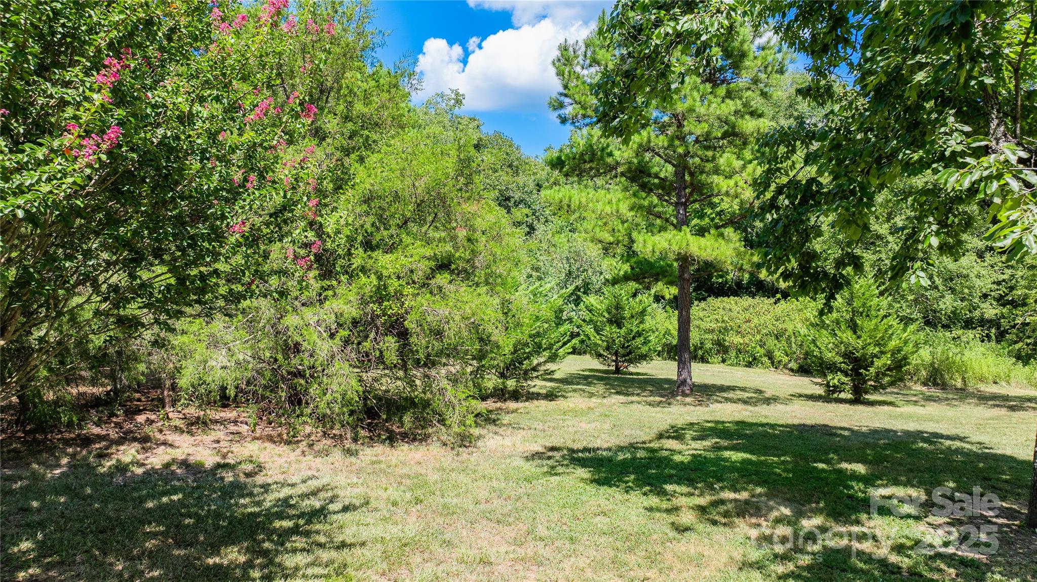 4651 Shiptontown Road, Unit 46 Denton, NC 27239 - Photo 37 of 48 a view of tree in middle of a yard