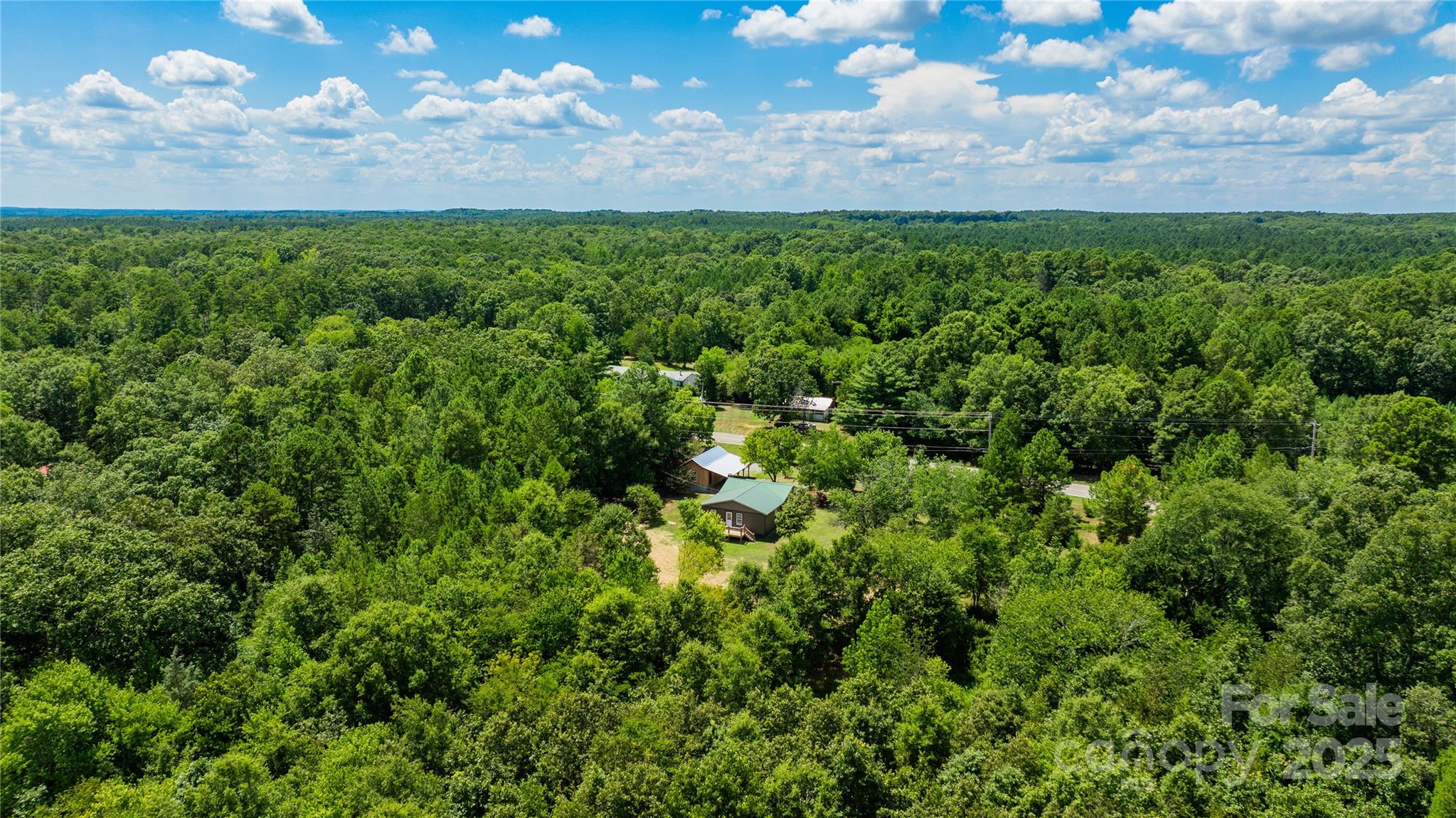 4651 Shiptontown Road, Unit 46 Denton, NC 27239 - Photo 47 of 48 a view of a bunch of trees