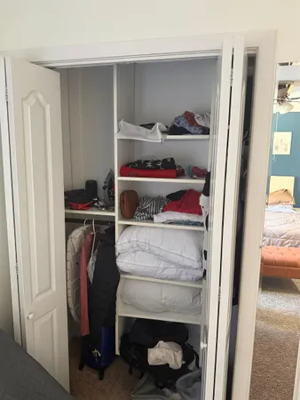 a room with a closet and a mirror