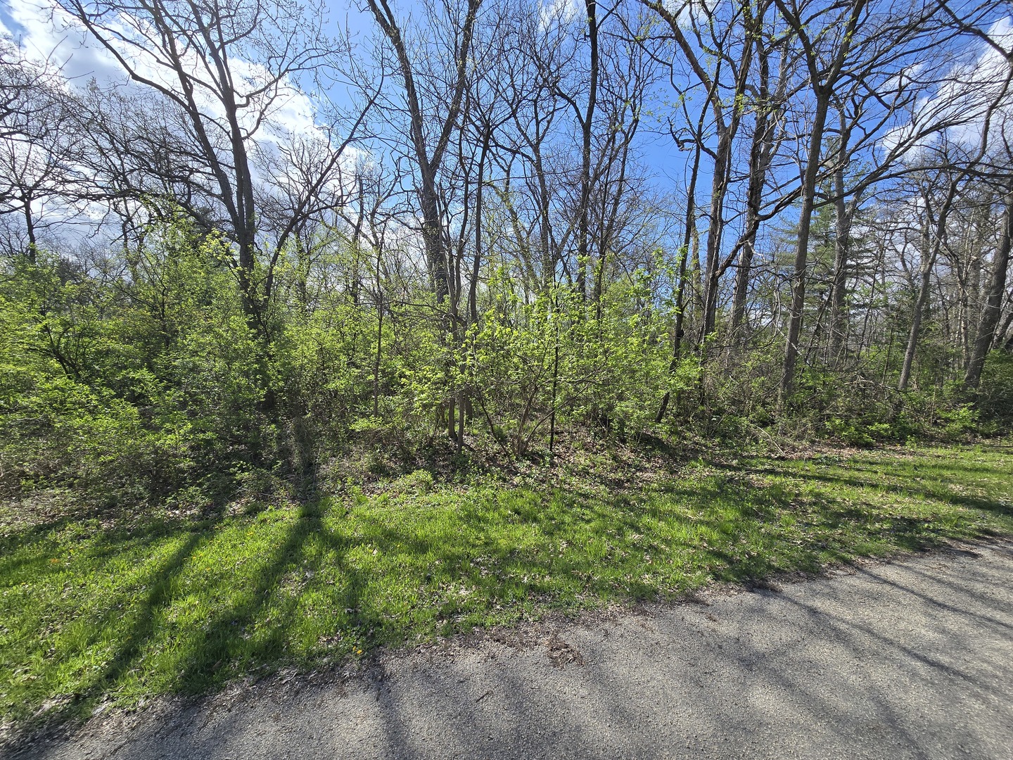 211 Maple Lane Dixon, IL 61021 - Photo 5 of 5 a yard with lots of green space and trees