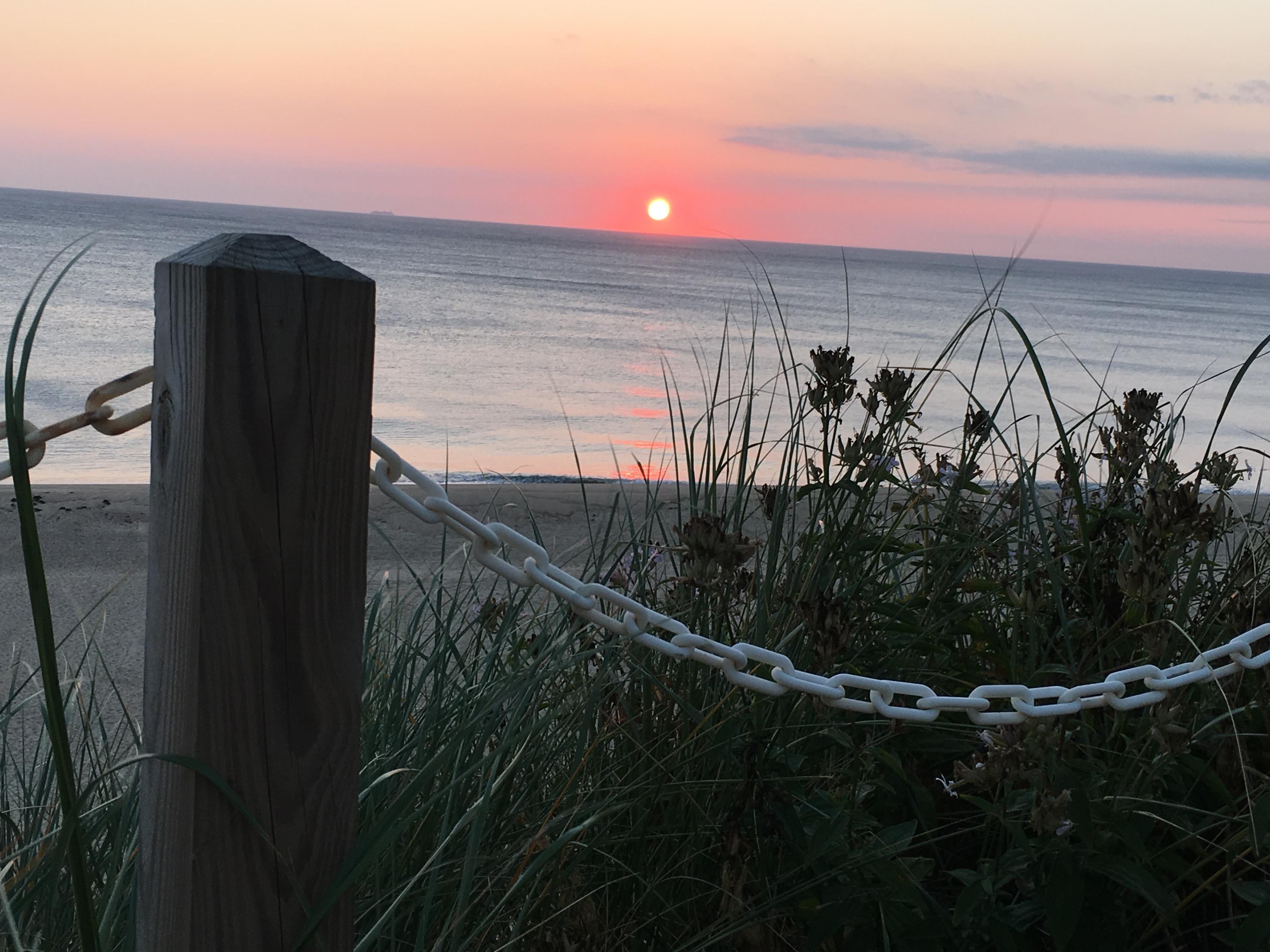 17 Coast Guard Road Truro, MA 02666 - Photo 15 of 19 a backyard of a house