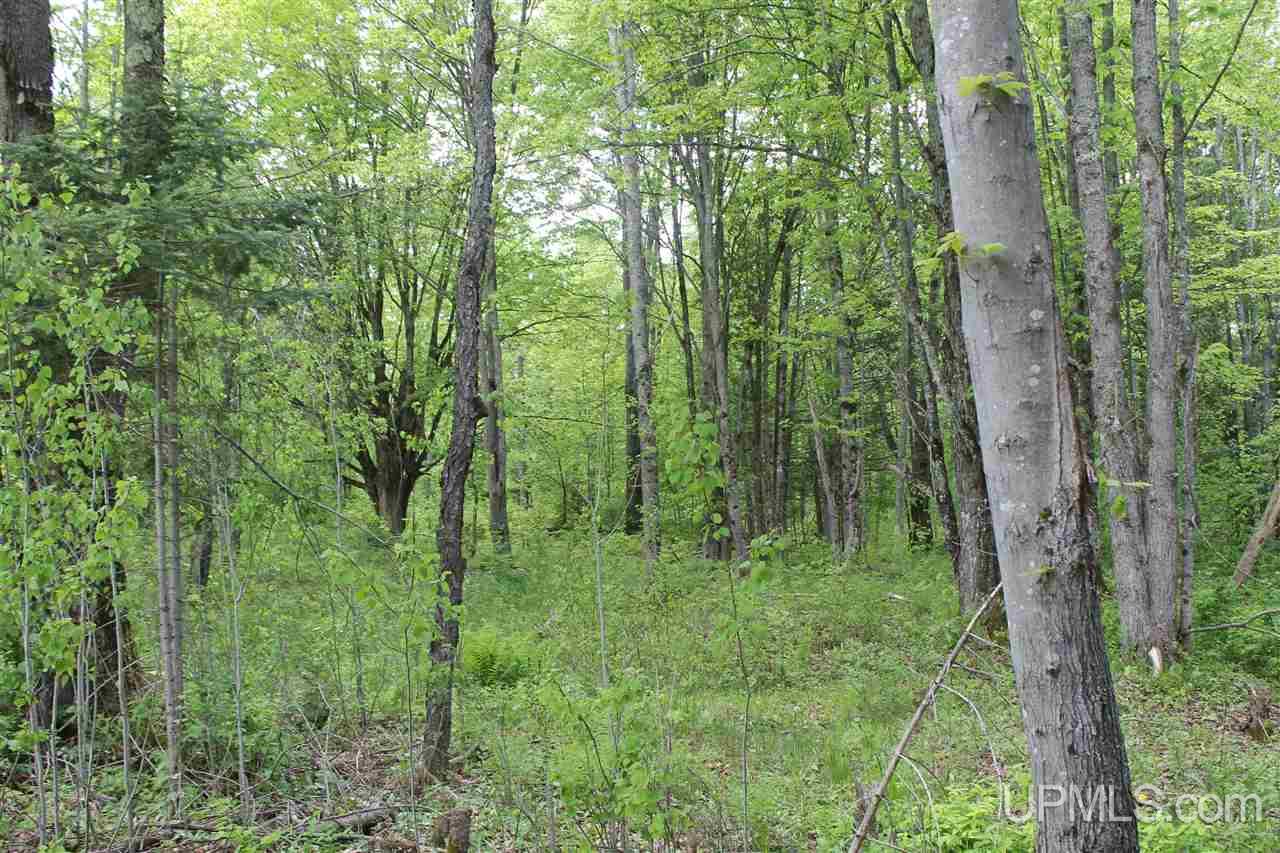 Tbd Off Kyllonen Road, Unit LAT 46 75685 LON 88 7526 Nisula, MI 49952 - Photo 5 of 24