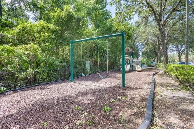 a view of a tree in a yard