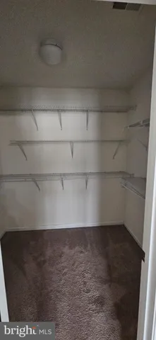 a close up of a shower