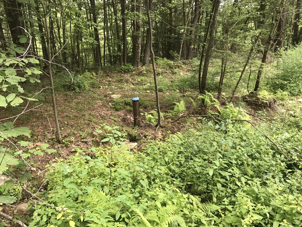 153 Cutler Road Barre, MA 01005 - Photo 2 of 10 a view of a garden