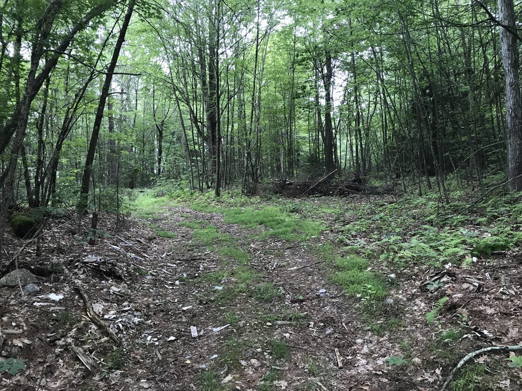 153 Cutler Road Barre, MA 01005 - Photo 3 of 10 a view of outdoor space and green space
