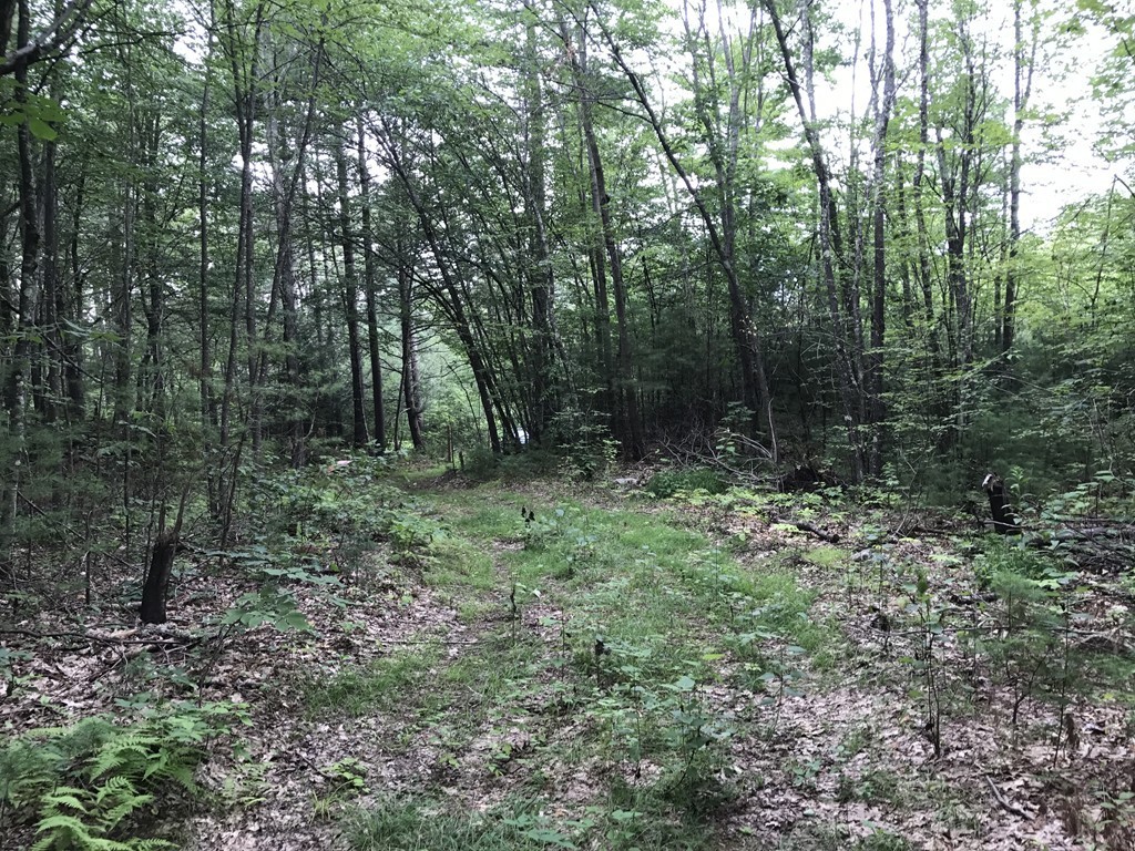 153 Cutler Road Barre, MA 01005 - Photo 4 of 10 a view of outdoor space and green space