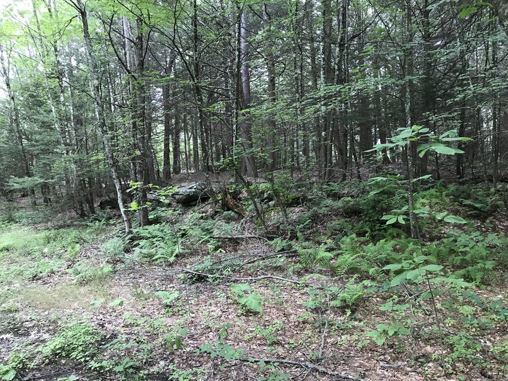 153 Cutler Road Barre, MA 01005 - Photo 10 of 10 a view of outdoor space and green space