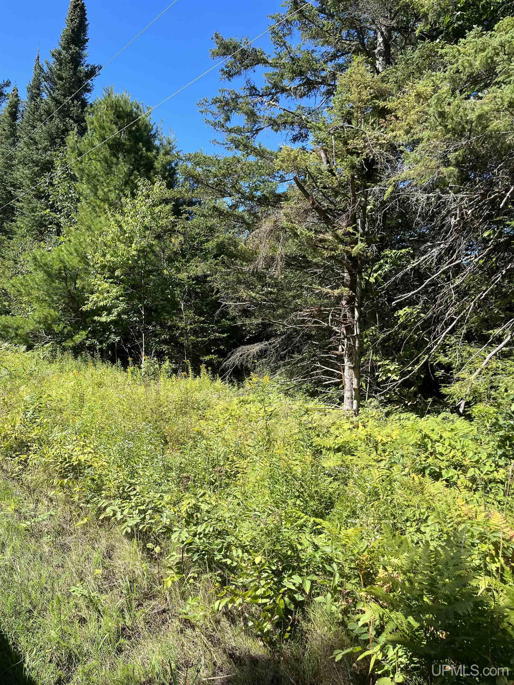 15380 Aho Road Ontonagon, MI 49953 - Photo 3 of 8
