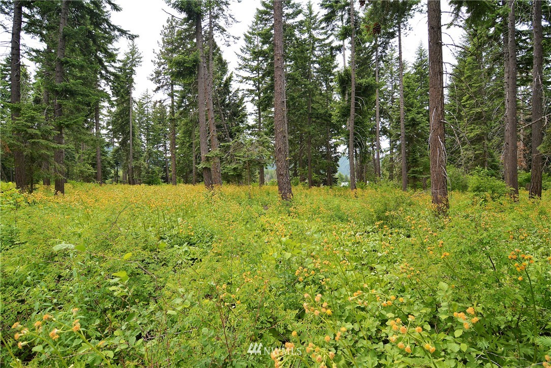 14 Talmadge Road Cle Elum, WA 98922 - Photo 1 of 8 Gallery Image 1