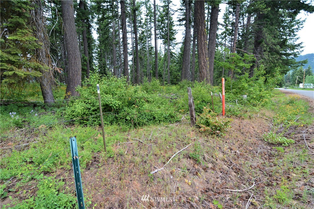 14 Talmadge Road Cle Elum, WA 98922 - Photo 3 of 8 Gallery Image 3
