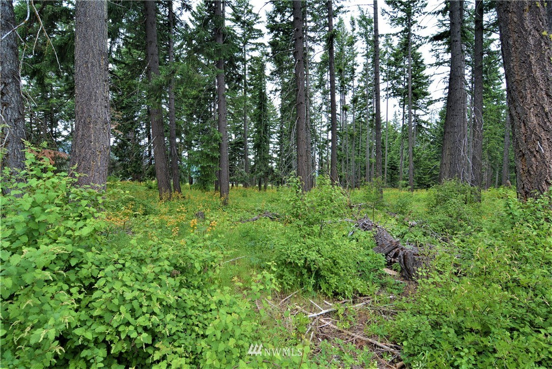 14 Talmadge Road Cle Elum, WA 98922 - Photo 4 of 8 Gallery Image 4