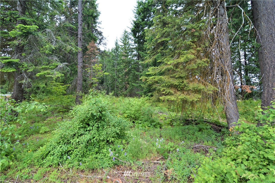 14 Talmadge Road Cle Elum, WA 98922 - Photo 5 of 8 Gallery Image 5