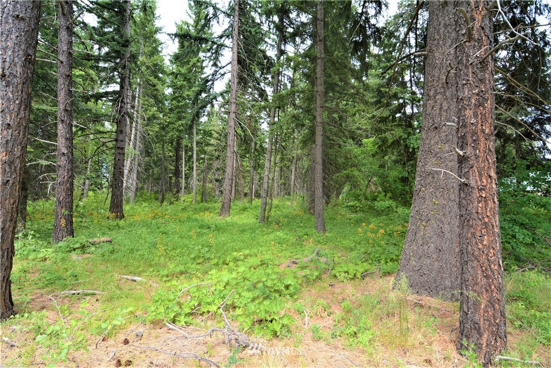 14 Talmadge Road Cle Elum, WA 98922 - Photo 6 of 8 Gallery Image 6