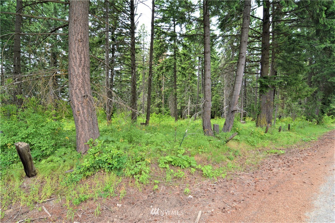 14 Talmadge Road Cle Elum, WA 98922 - Photo 7 of 8 Gallery Image 7
