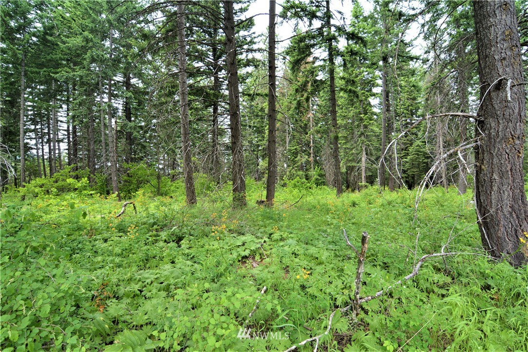 14 Talmadge Road Cle Elum, WA 98922 - Photo 8 of 8 Gallery Image 8