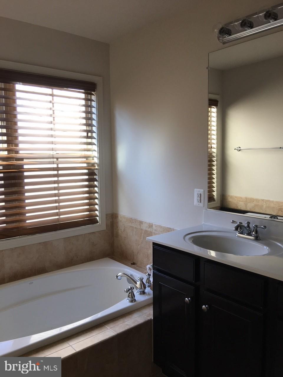 23337 Tradewind Drive Ashburn, VA 20148 - Photo 21 of 28 a bathroom with a bathtub and a sink