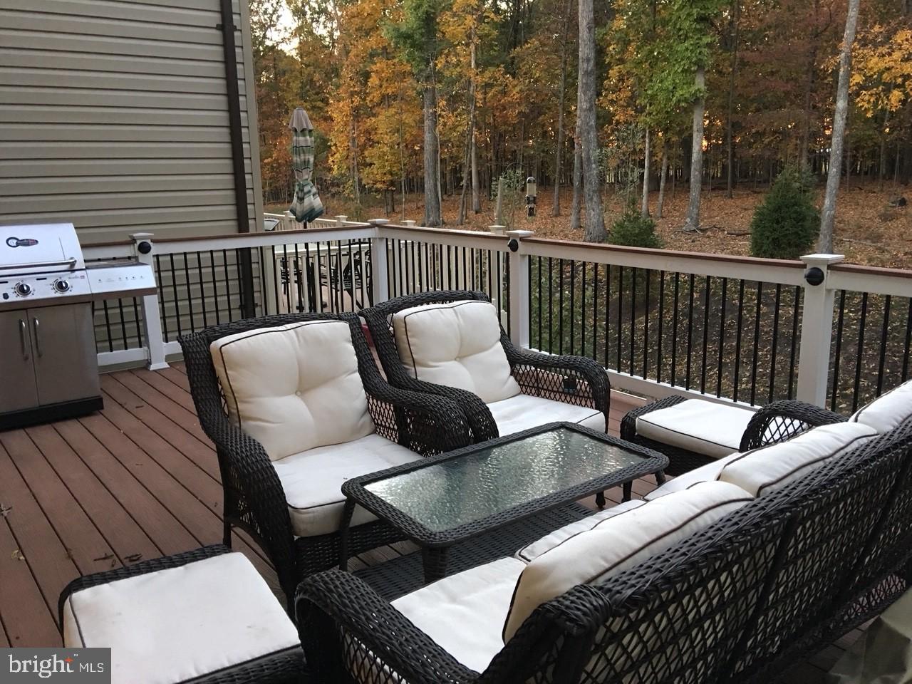 23337 Tradewind Drive Ashburn, VA 20148 - Photo 28 of 28 a view of balcony with couch
