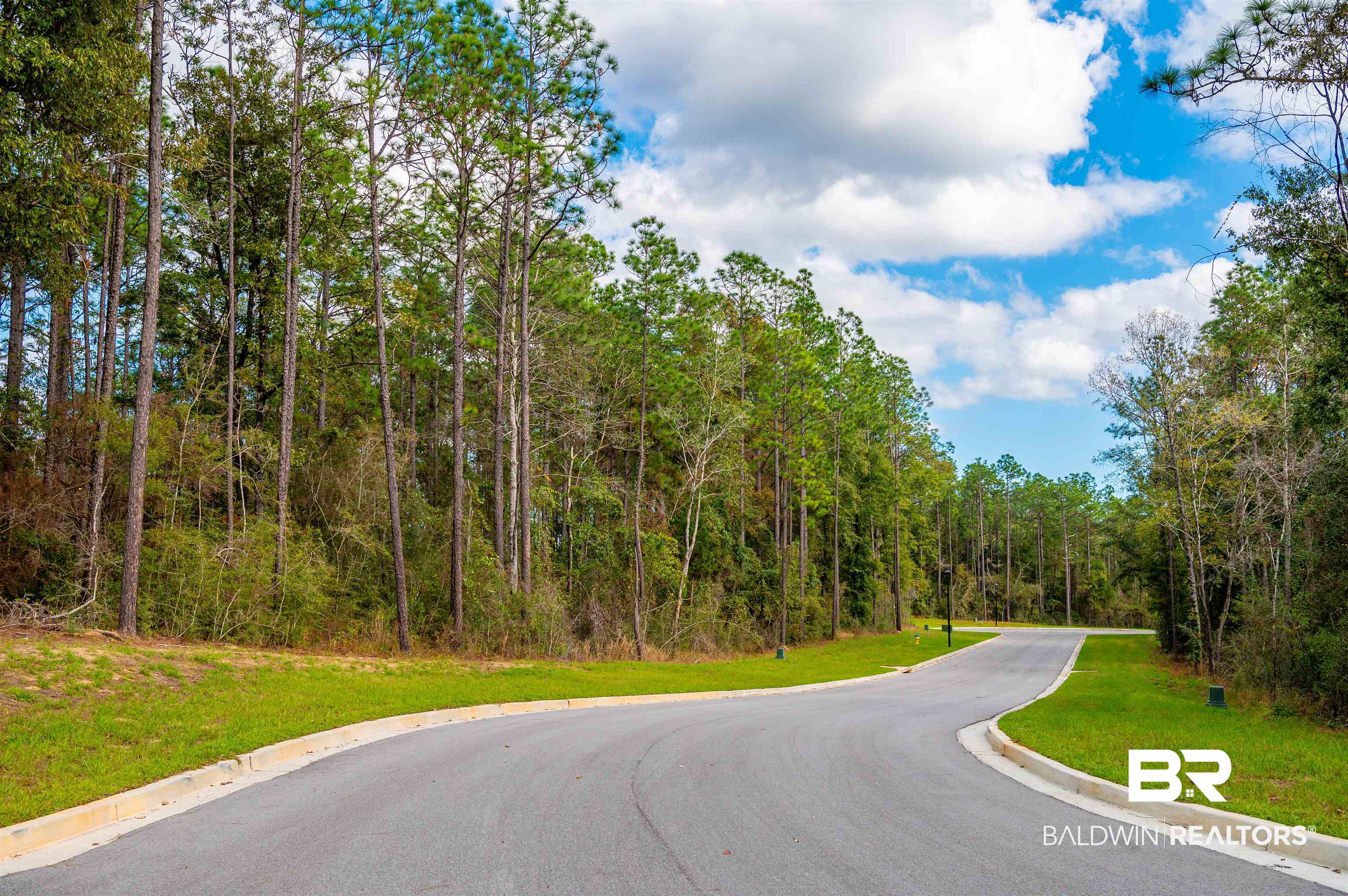0 Wynngate Way Mobile, AL 36695 - Photo 9 of 21