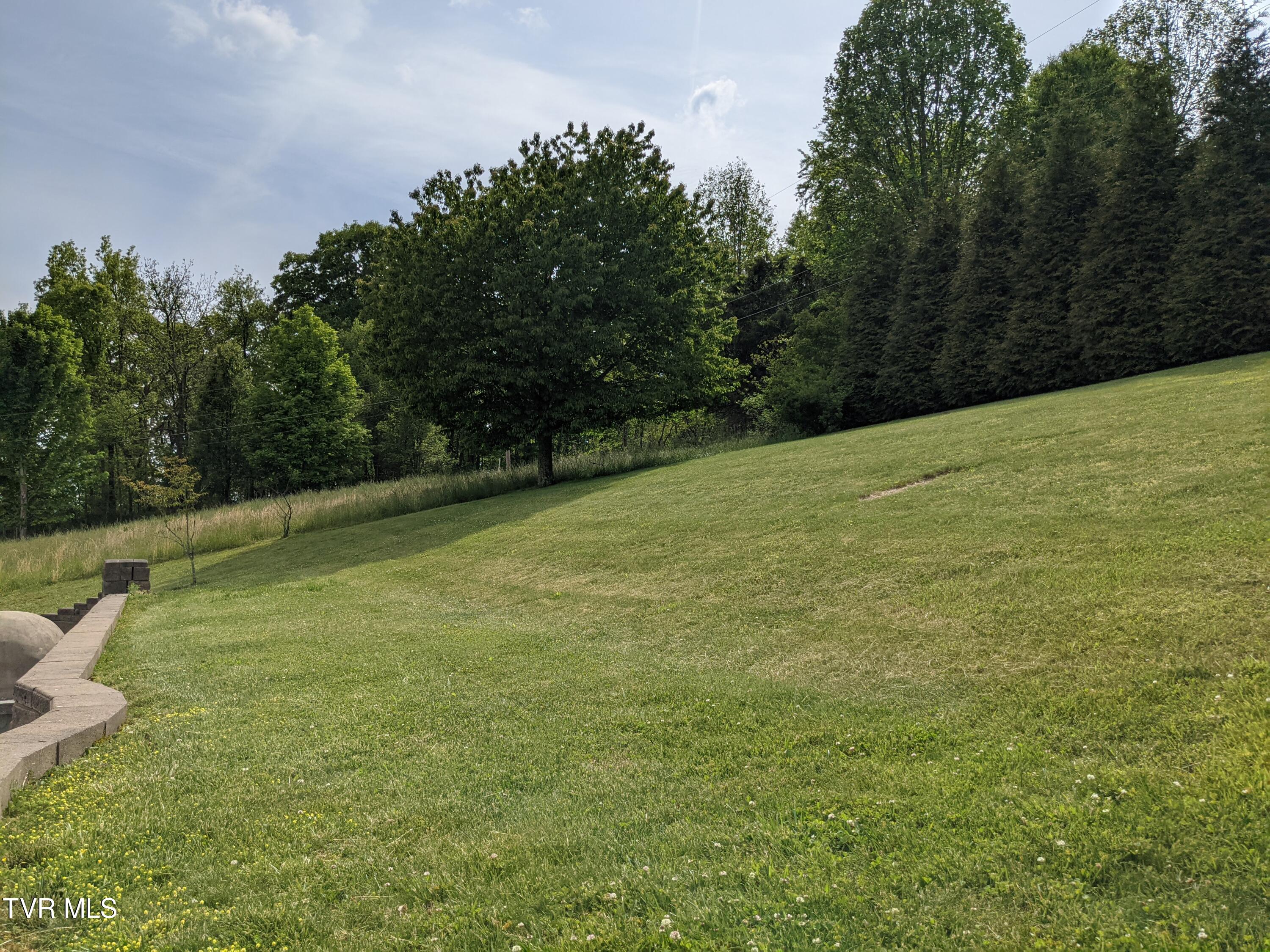 357 Fincastle Estates, Unit 9 Lebanon, VA 24266 - Photo 9 of 9 PXL_20210518_202130548
