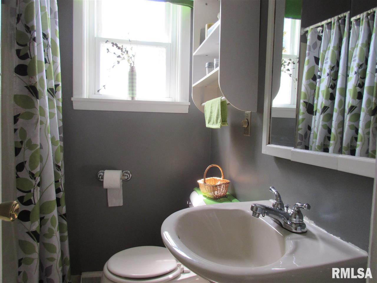 111 West A Street Alpha, IL 61413 - Photo 6 of 11 Gallery Image 6