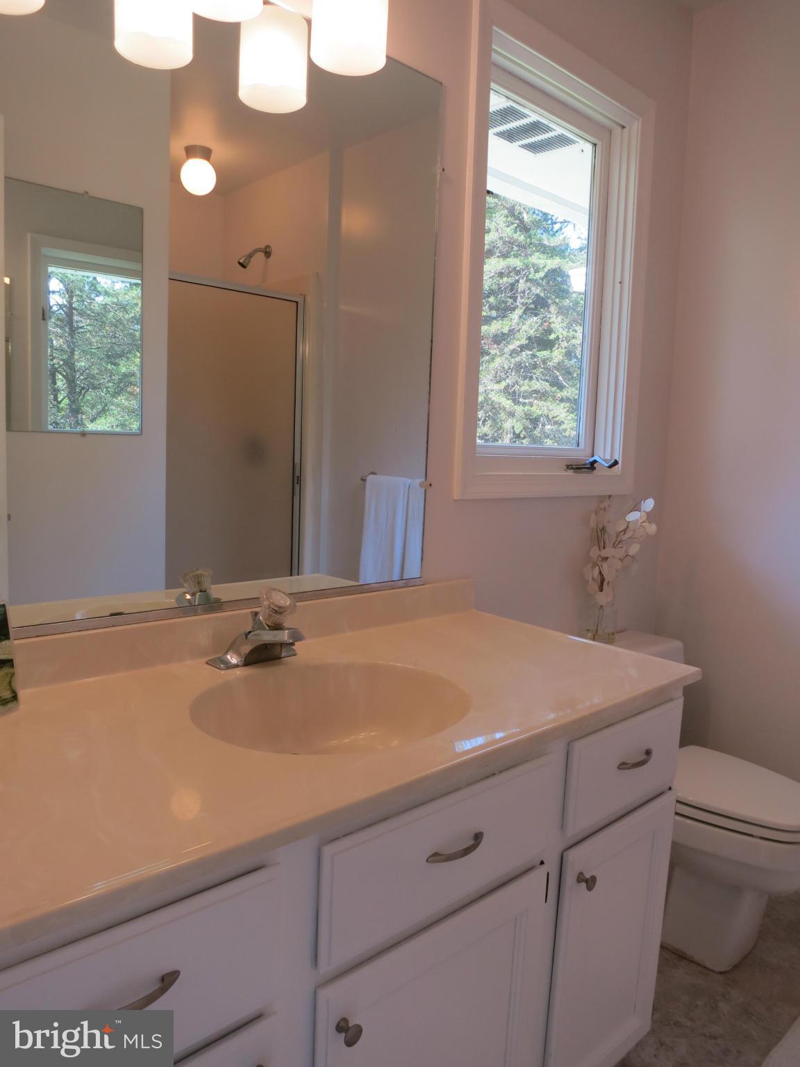 10090 Dutch Hollow Road Rixeyville, VA 22737 - Photo 22 of 30 Bath