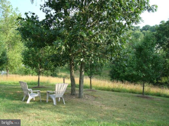 270 Ridgeview Drive Berkeley Springs, WV 25411 - Photo 29 of 30 Back yard