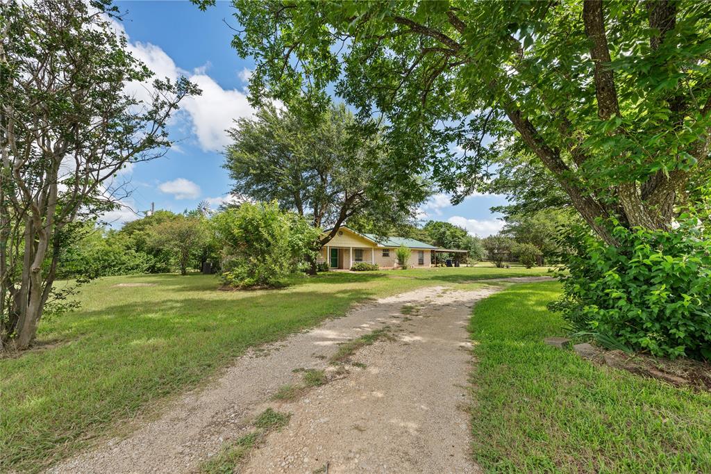 440 Williams Road Lorena, TX 76655 - Photo 19 of 19 Gravel driveway framed by mature trees, leading to a single-story residence with a light-colored exterior and a covered front porch
