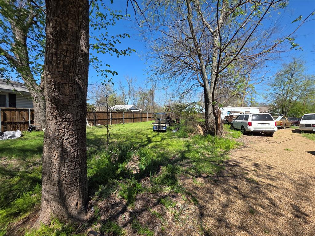 410 West Locust Street Whitewright, TX 75491 - Photo 5 of 5 View of yard
