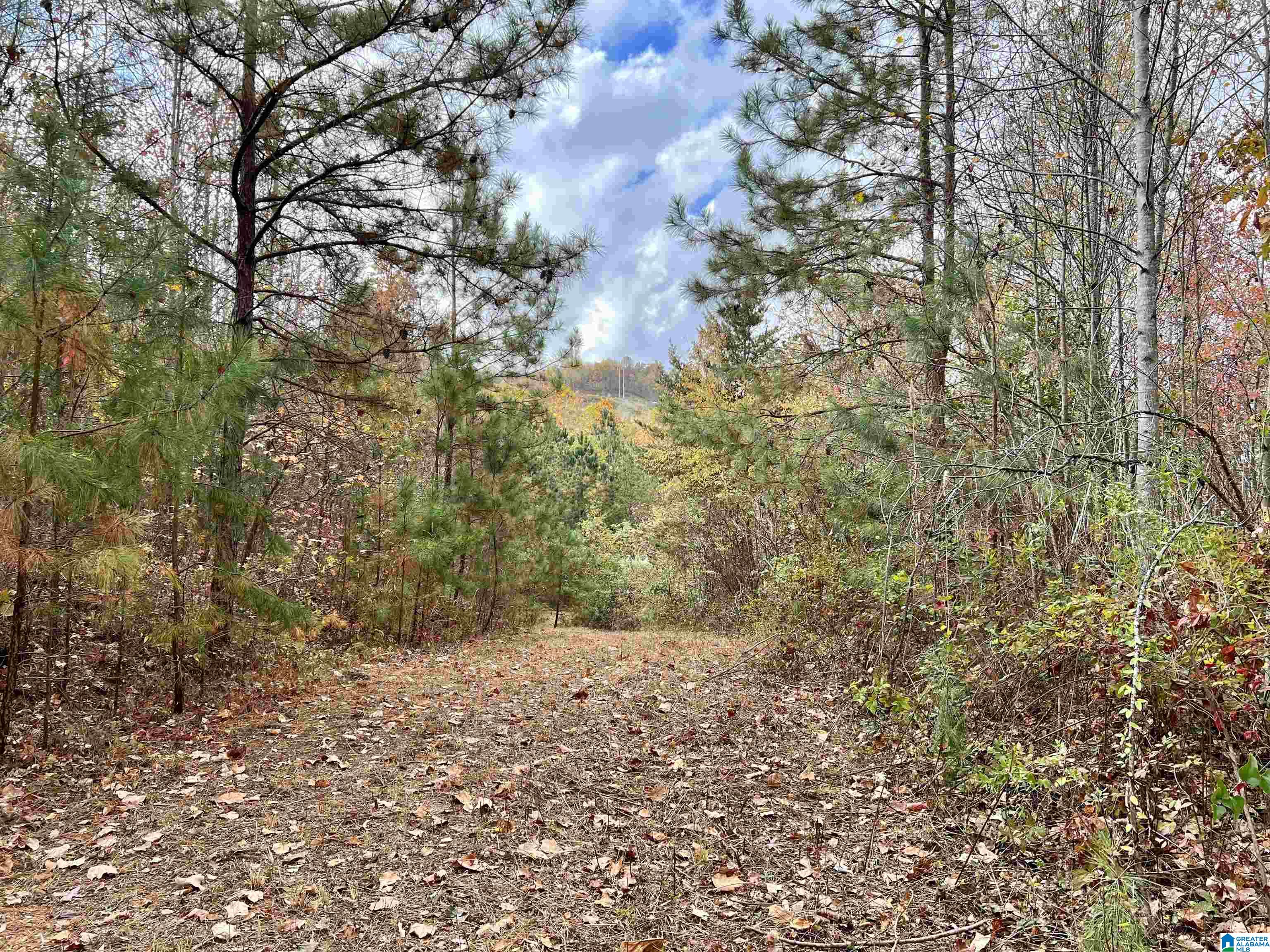 8455 Clayton Road Trussville, AL 35173 - Photo 13 of 65