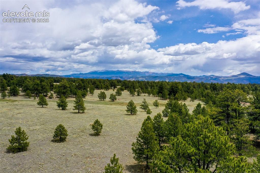 Tbd Doe Valley Road Guffey, CO 80820 - Photo 7 of 19 Pikes Peak Views throughout the area.