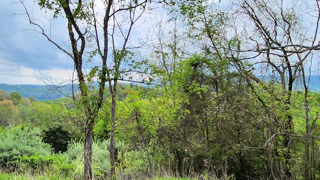 3848 Chestnut Ridge Road Pulaski, VA 24301 - Photo 36 of 38 Gallery Image 36