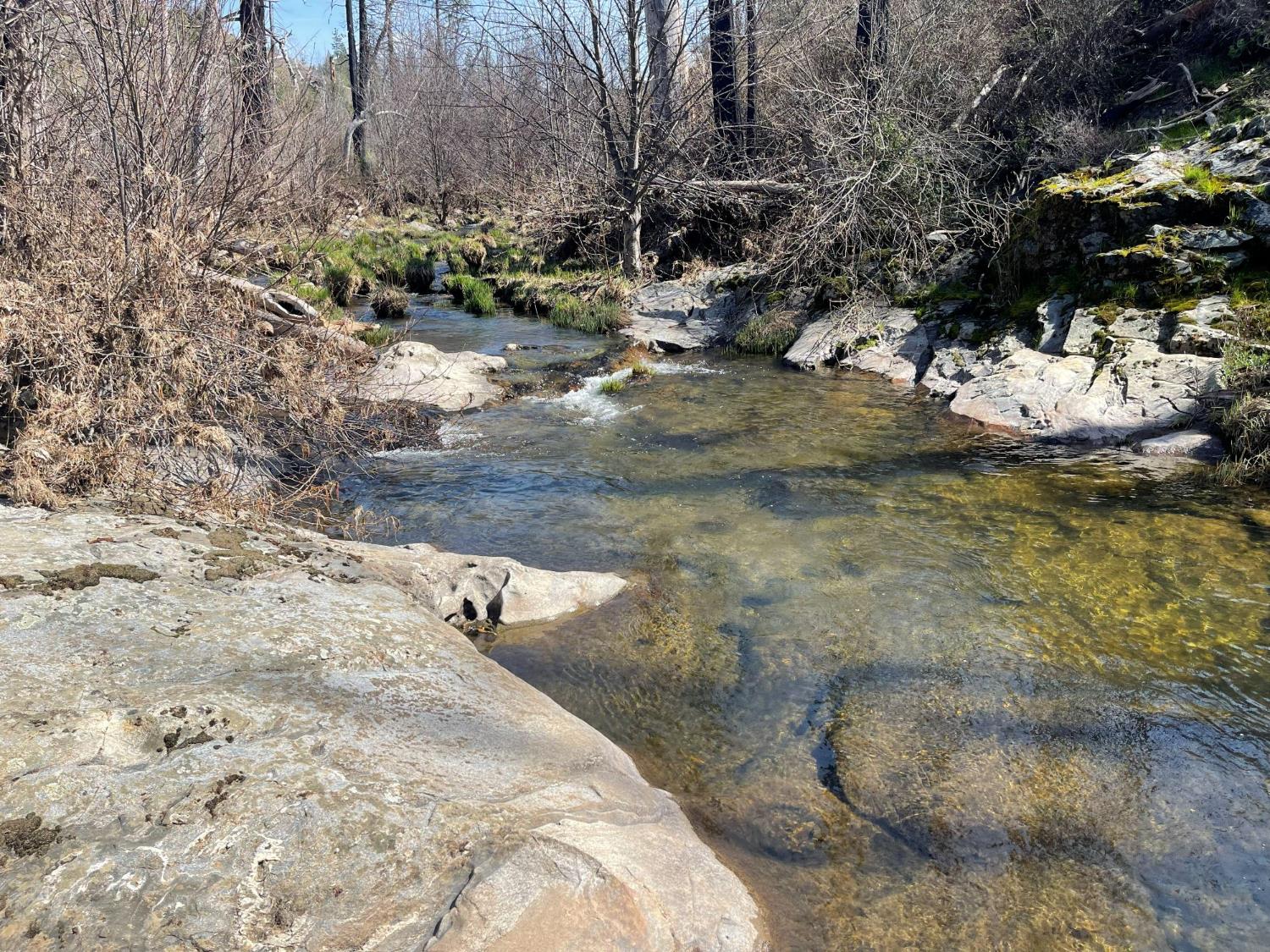 7602 Old Emigrant Trail Mountain Ranch, CA 95246 - Photo 1 of 50