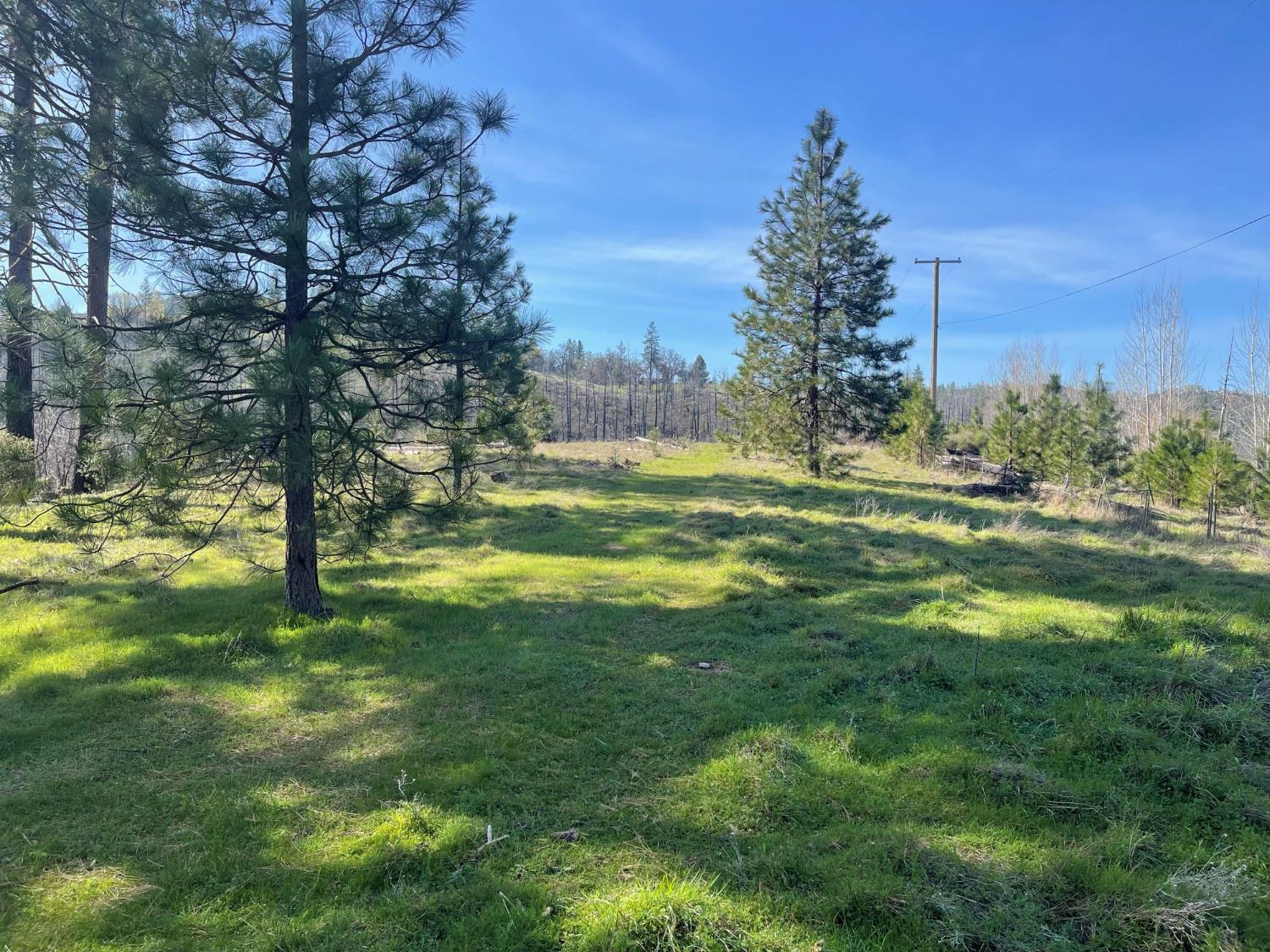 7602 Old Emigrant Trail Mountain Ranch, CA 95246 - Photo 11 of 50 Alternate Hilltop Bldg Site