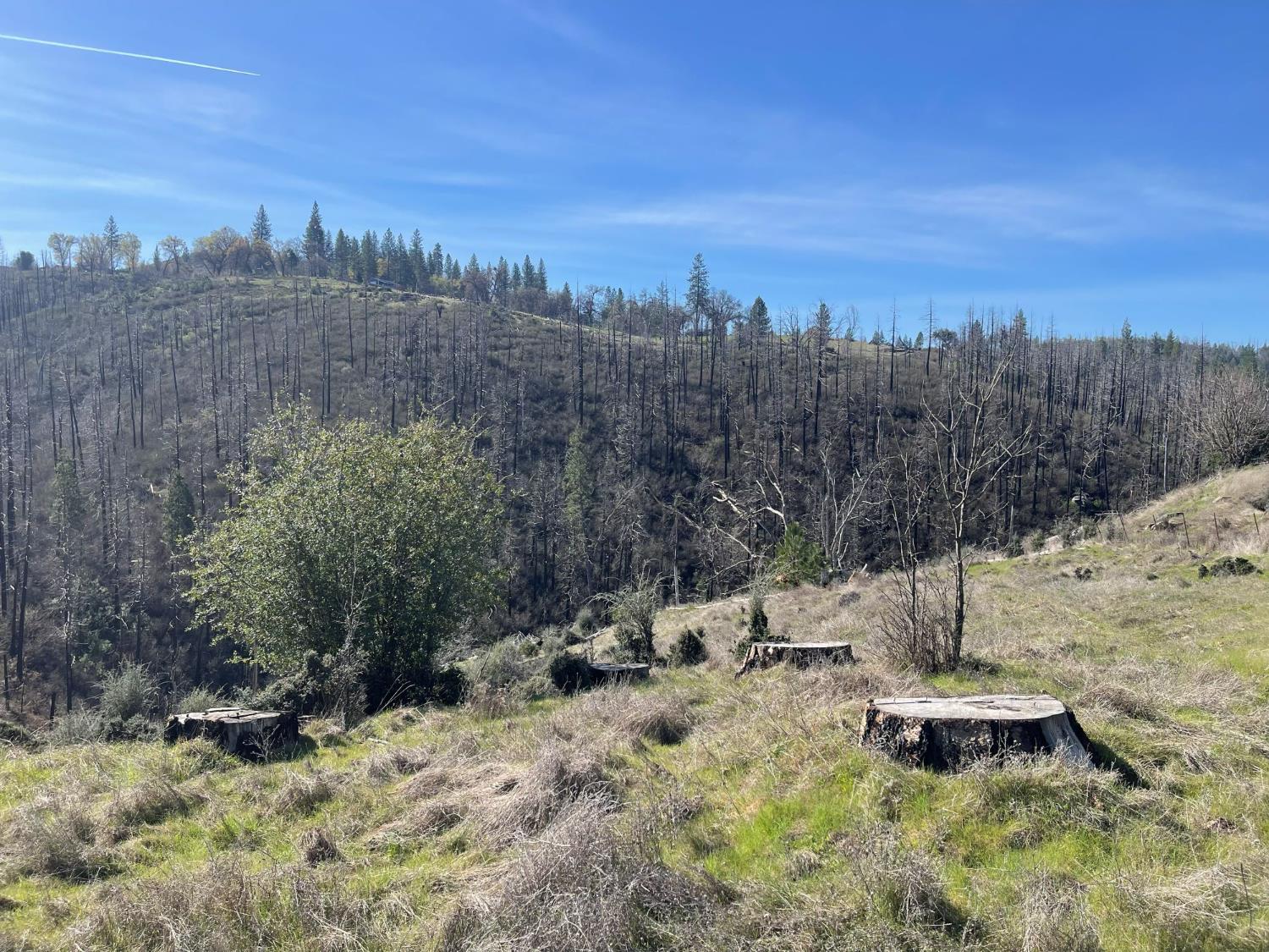 7602 Old Emigrant Trail Mountain Ranch, CA 95246 - Photo 12 of 50