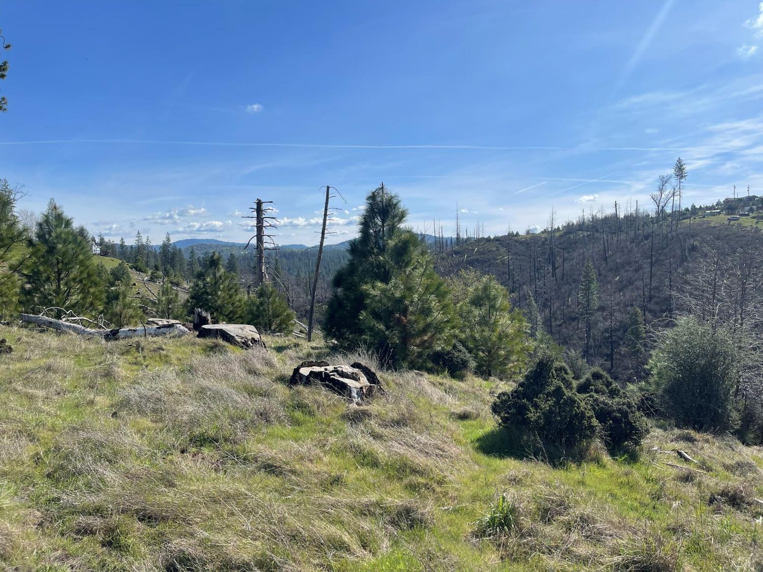 7602 Old Emigrant Trail Mountain Ranch, CA 95246 - Photo 14 of 50