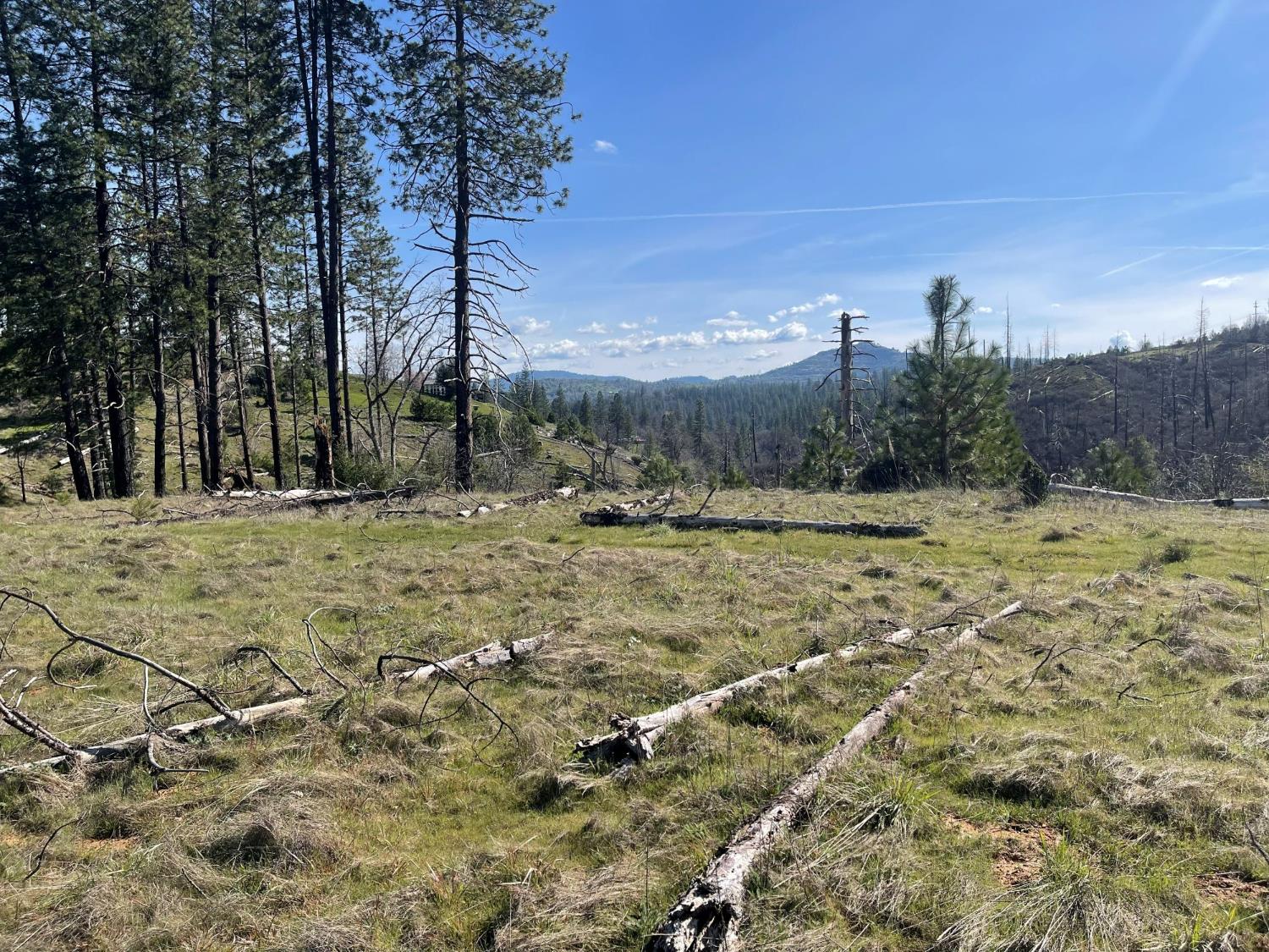 7602 Old Emigrant Trail Mountain Ranch, CA 95246 - Photo 15 of 50