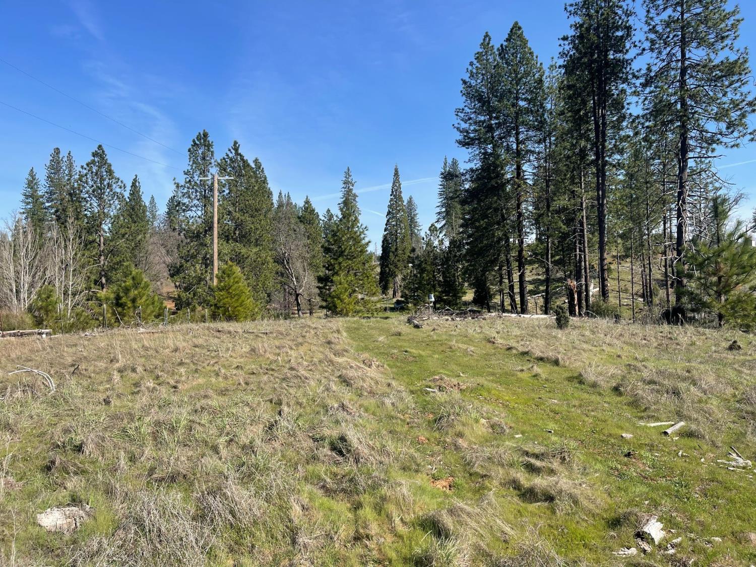 7602 Old Emigrant Trail Mountain Ranch, CA 95246 - Photo 16 of 50