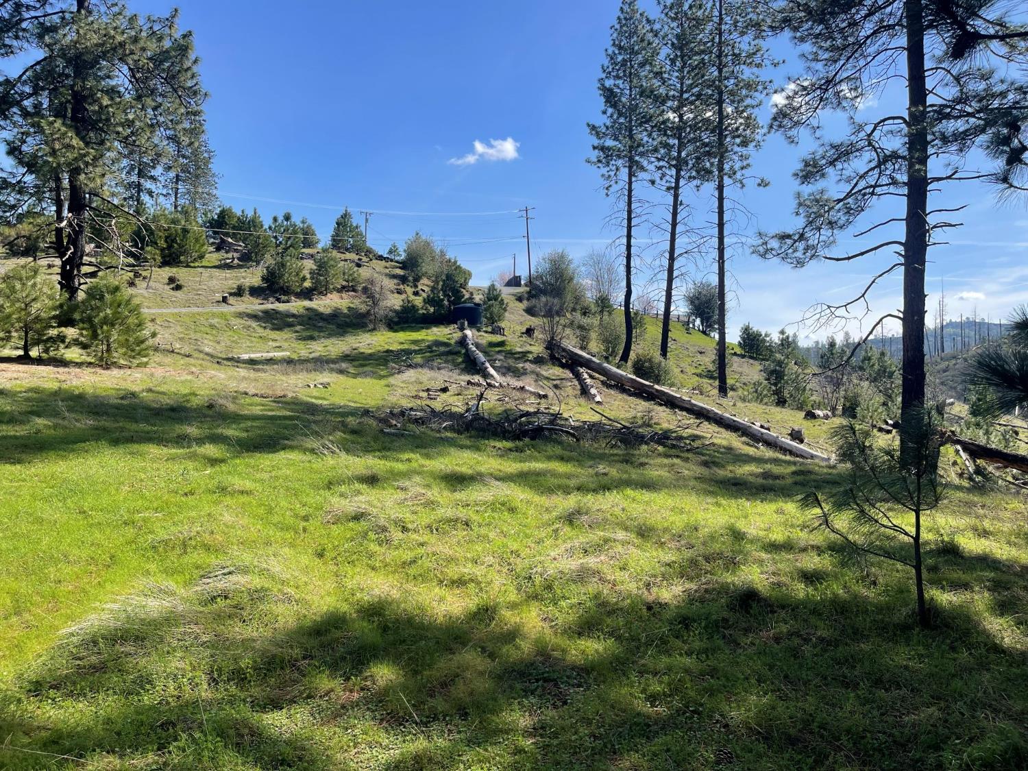 7602 Old Emigrant Trail Mountain Ranch, CA 95246 - Photo 17 of 50