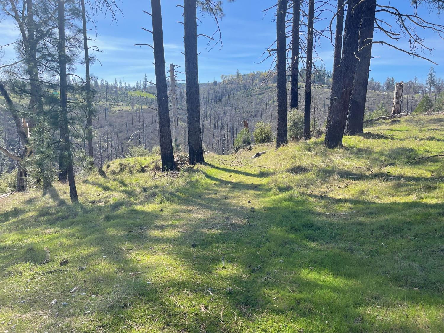 7602 Old Emigrant Trail Mountain Ranch, CA 95246 - Photo 18 of 50