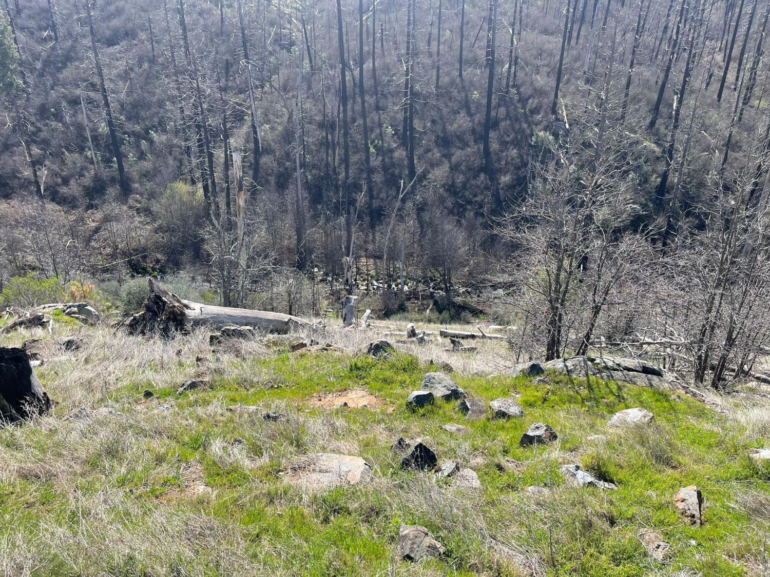 7602 Old Emigrant Trail Mountain Ranch, CA 95246 - Photo 22 of 50 Creek View from Bldg Pad