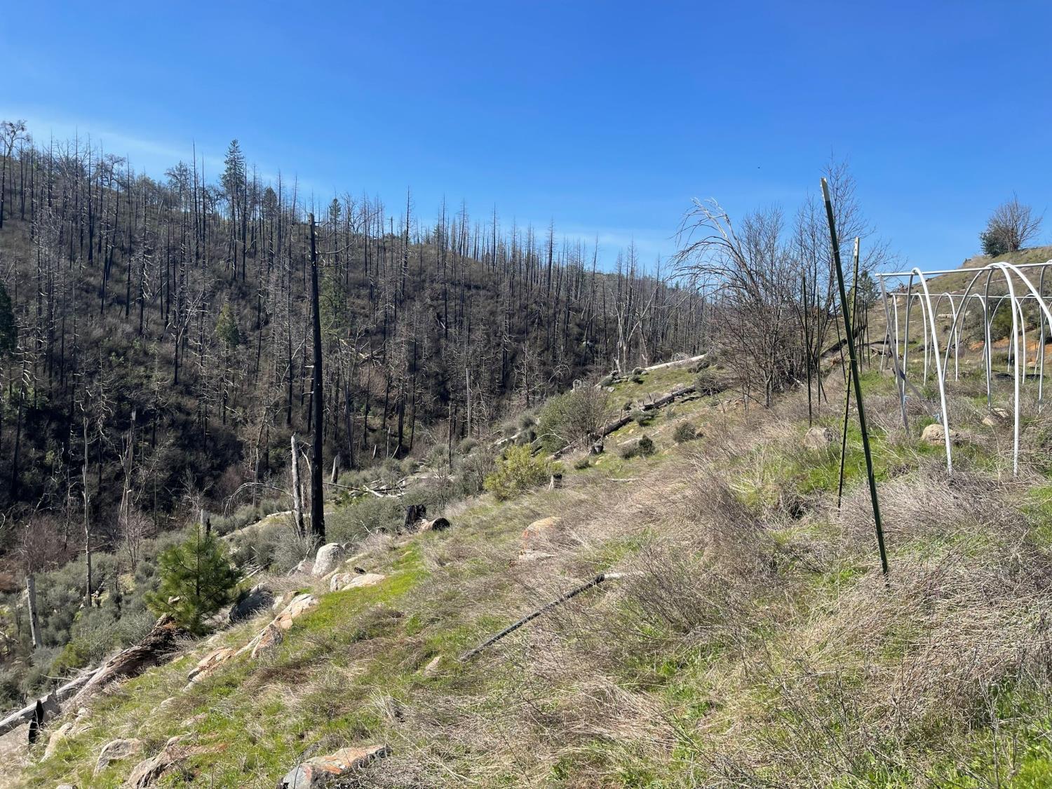 7602 Old Emigrant Trail Mountain Ranch, CA 95246 - Photo 25 of 50