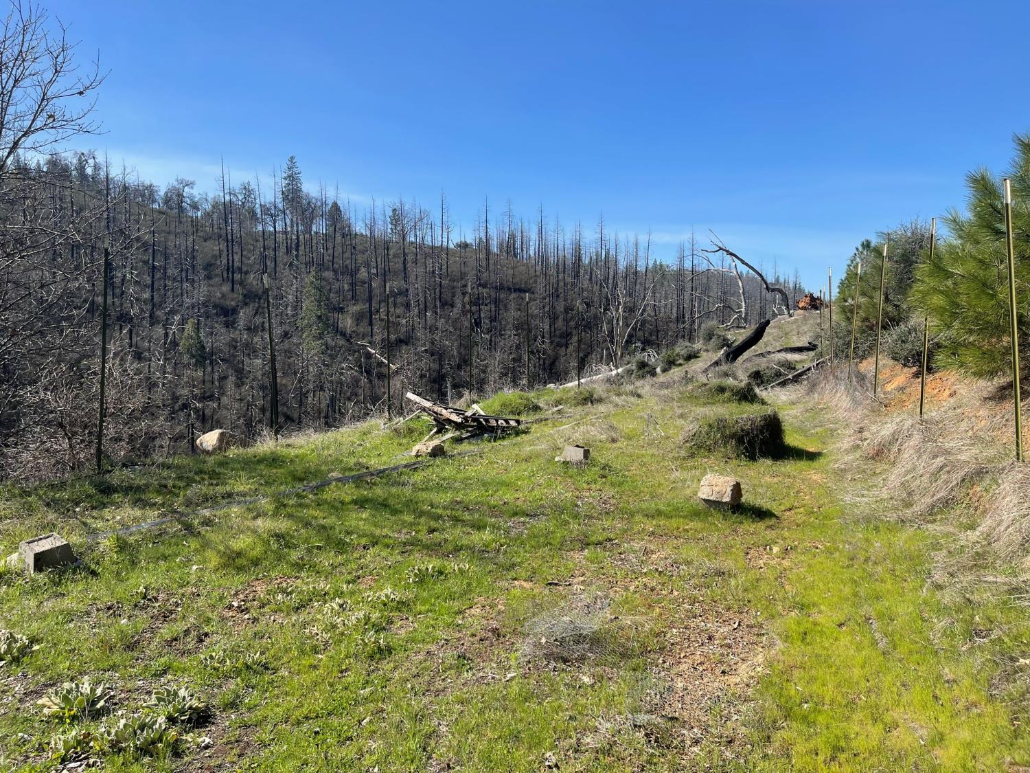 7602 Old Emigrant Trail Mountain Ranch, CA 95246 - Photo 26 of 50