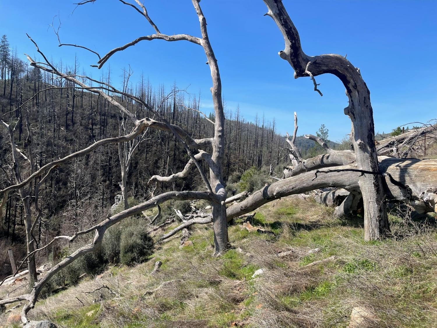 7602 Old Emigrant Trail Mountain Ranch, CA 95246 - Photo 28 of 50