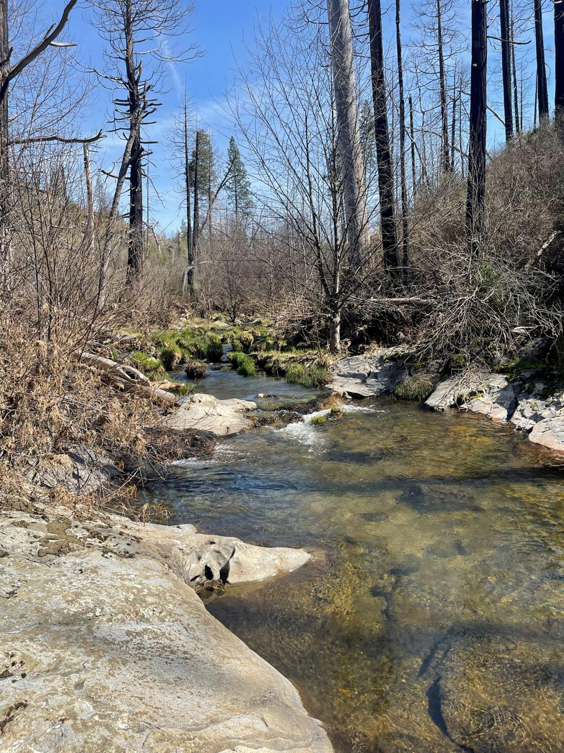 7602 Old Emigrant Trail Mountain Ranch, CA 95246 - Photo 3 of 50