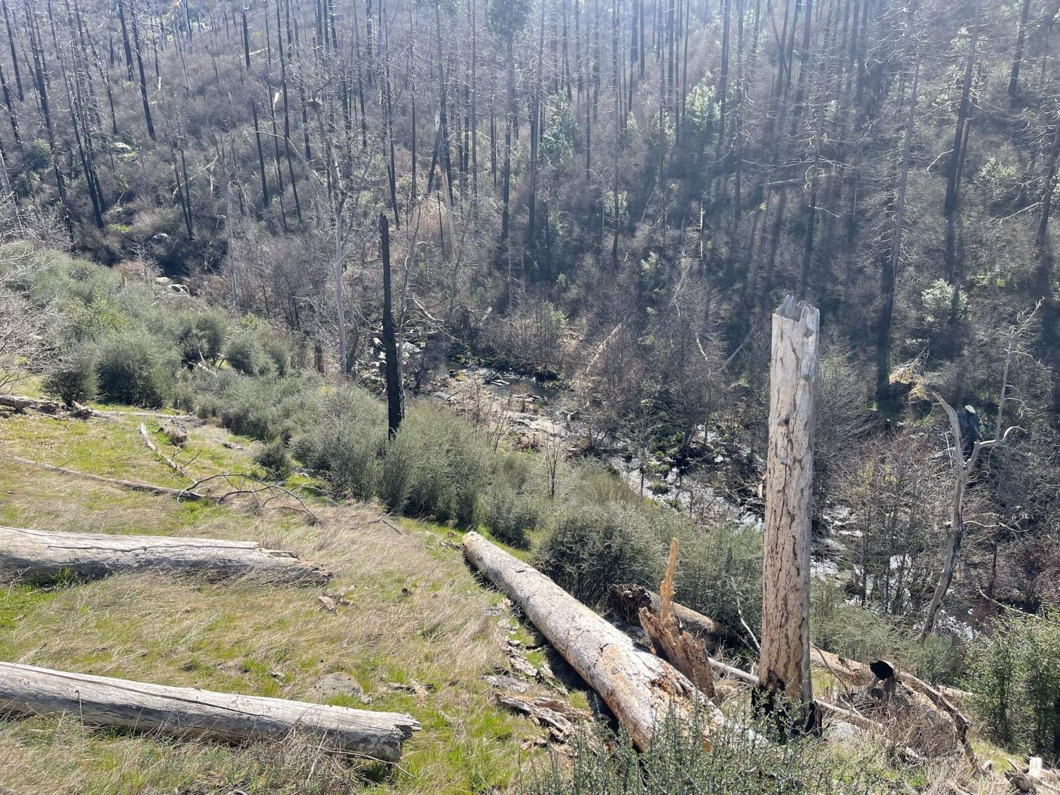 7602 Old Emigrant Trail Mountain Ranch, CA 95246 - Photo 32 of 50